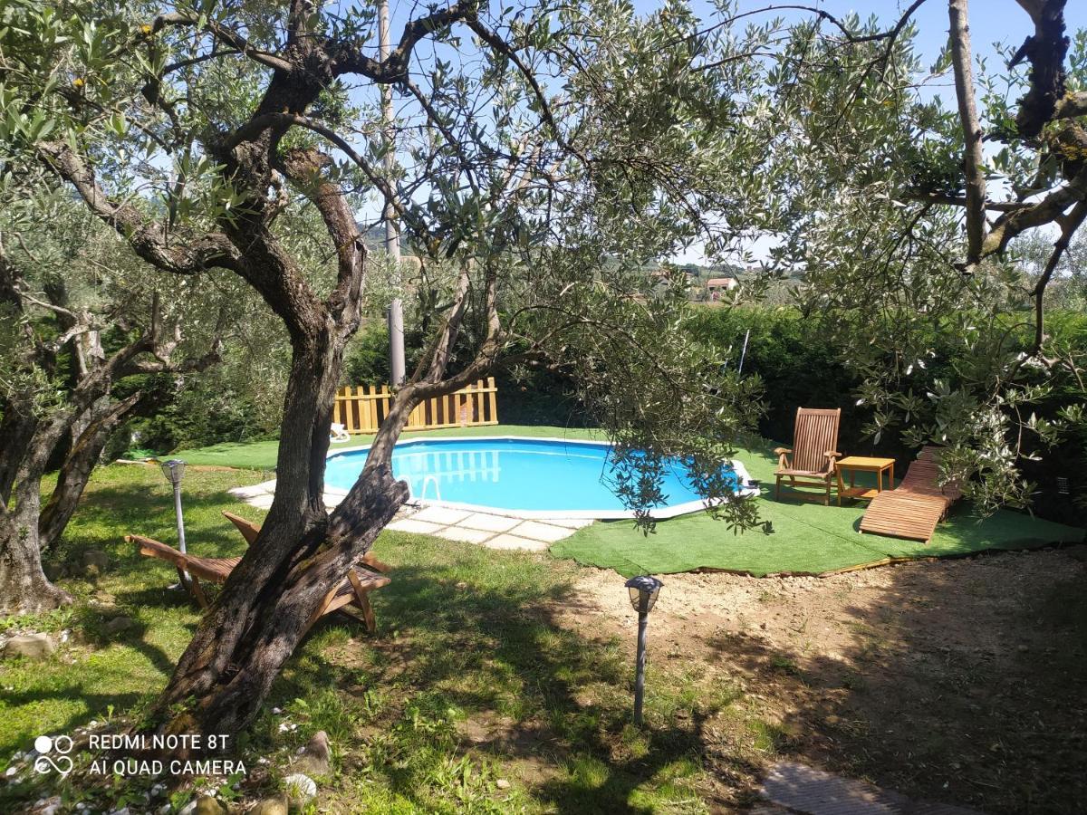 Il Borgo Dei Pini Appartement Vinci Buitenkant foto