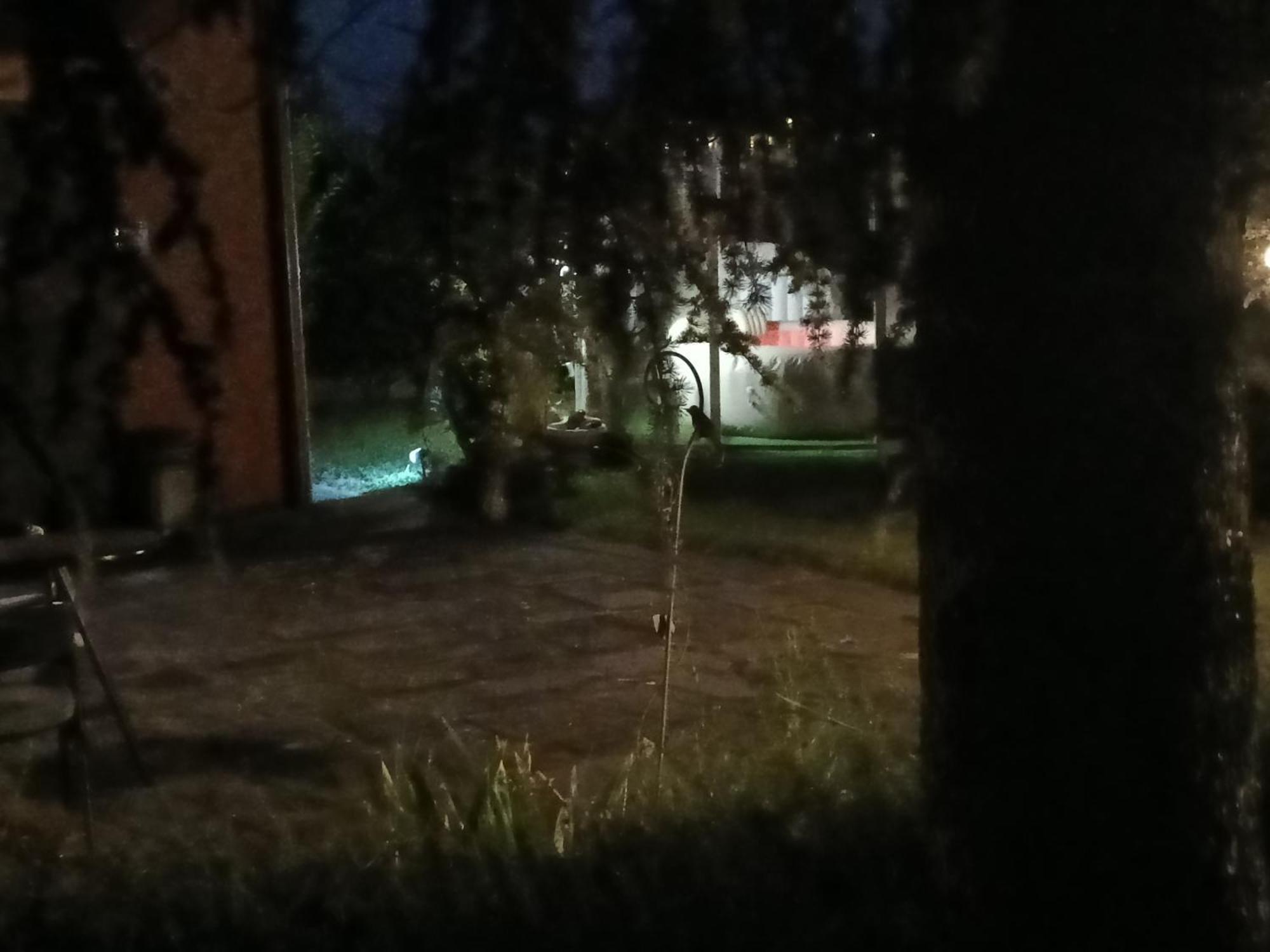 Il Borgo Dei Pini Appartement Vinci Buitenkant foto
