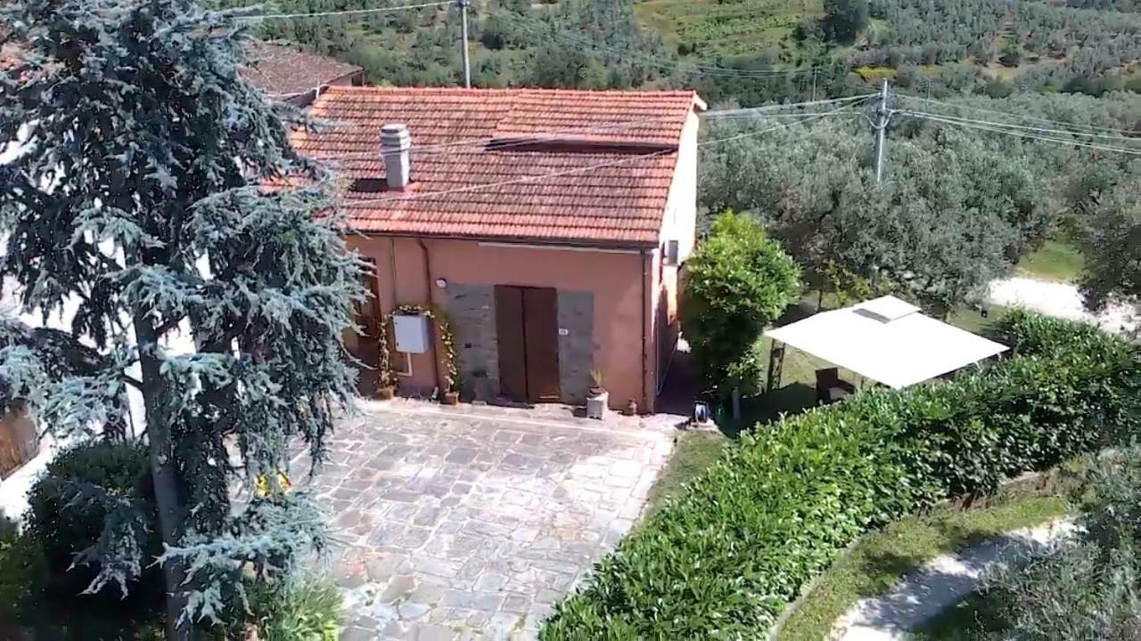 Il Borgo Dei Pini Appartement Vinci Buitenkant foto
